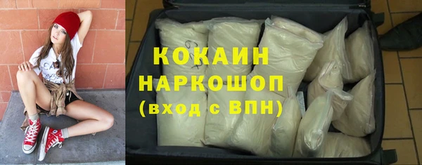 крисы Белокуриха