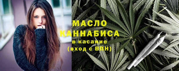гашик Бородино