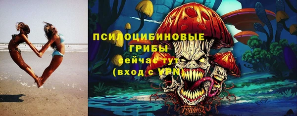 крисы Белокуриха