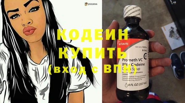 гашик Бородино